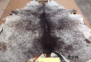 皮革進口總代理直銷 品質(zhì)、服務(wù)與供應(yīng)鏈的完美融合